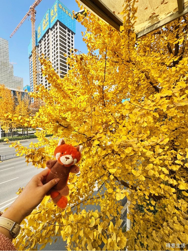 岁月不及念，一晃又一冬